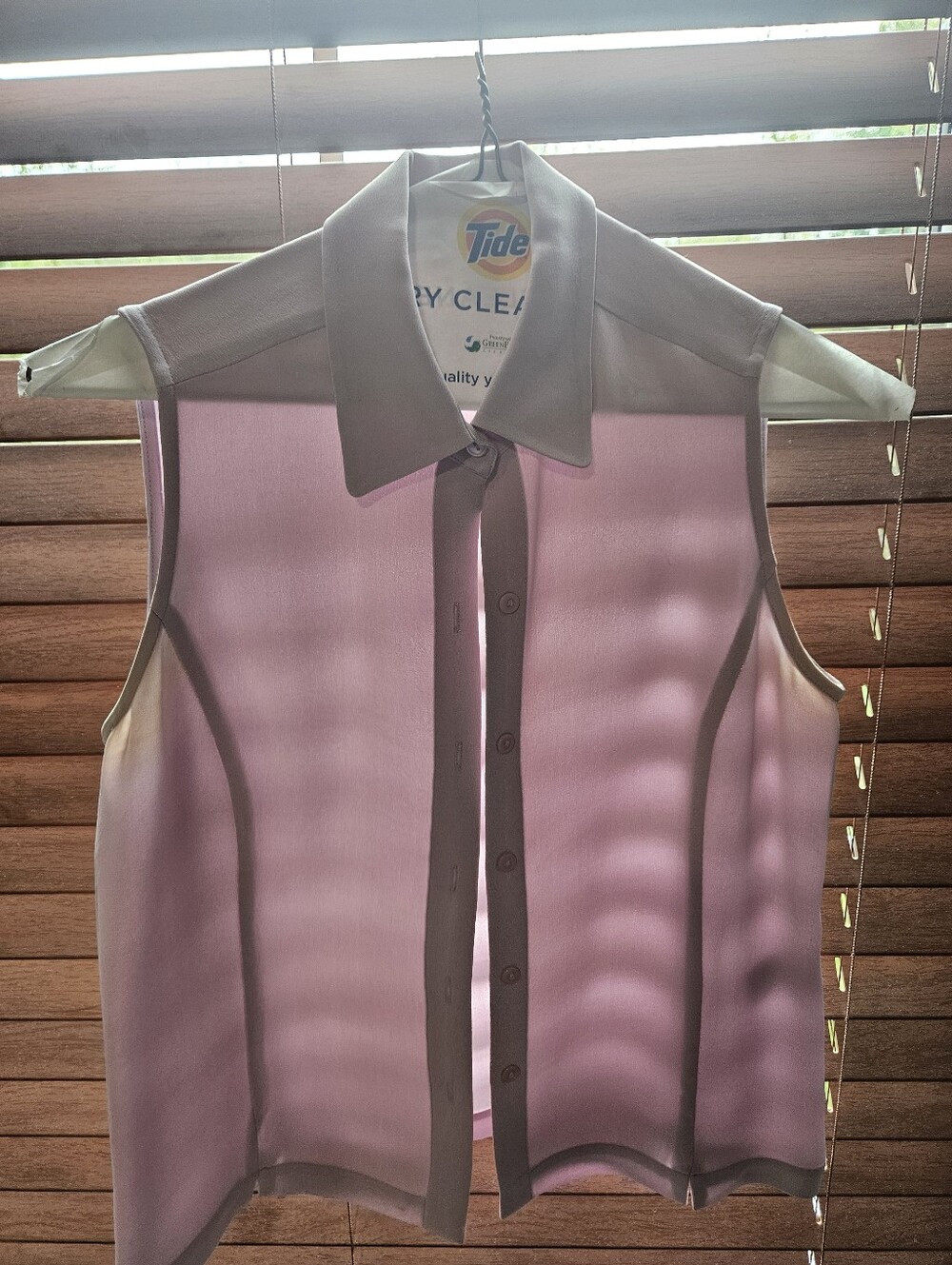 Petite Sophisticate Sleeveless Button-Down Shirt in Light Liliac